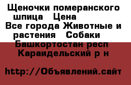 Щеночки померанского шпица › Цена ­ 25 000 - Все города Животные и растения » Собаки   . Башкортостан респ.,Караидельский р-н